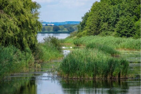 kis_balaton